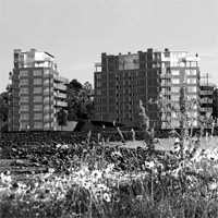 Bod&oslash; Panorama